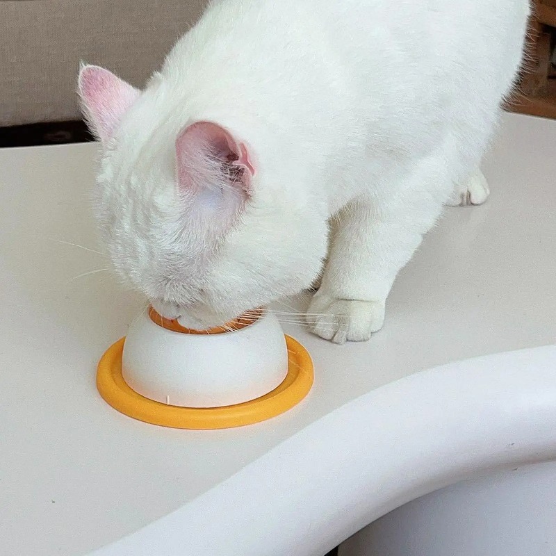 ชามอาหารสัตว์เลี้ยงแบบชะลอการก - Dog Puzzle Feeder Toy บทวิจารณ์และราคา