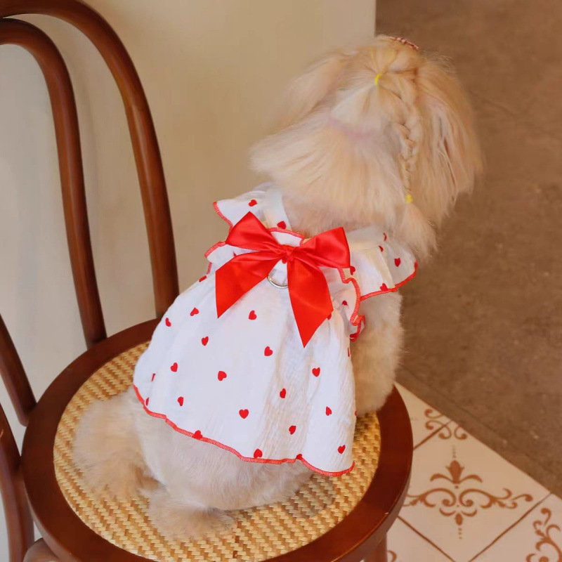 ชุดเสื้อผ้าและเครื่องประดับสำห - Cat Toys บทวิจารณ์และราคา