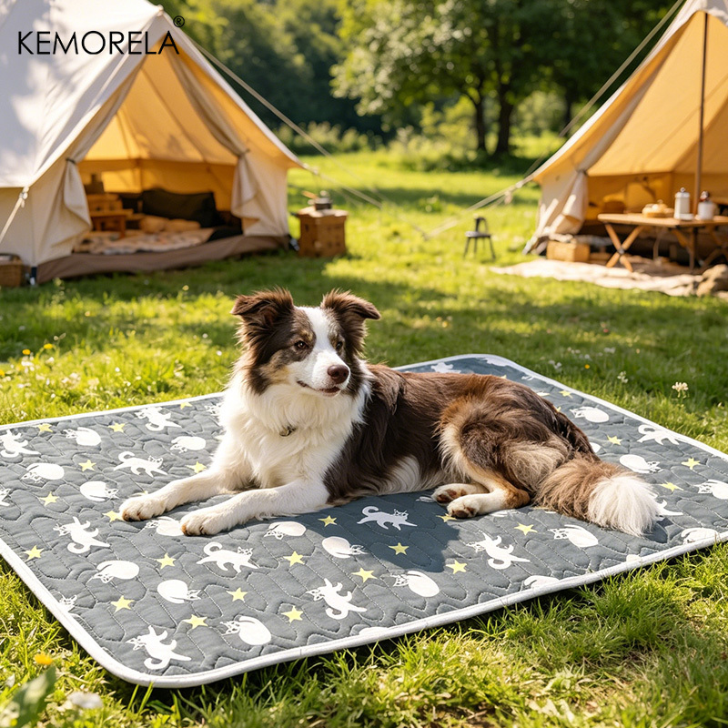 แผ่นรองนอนเย็นสำหรับสัตว์เลี้ย - Pet Beds บทวิจารณ์และราคา