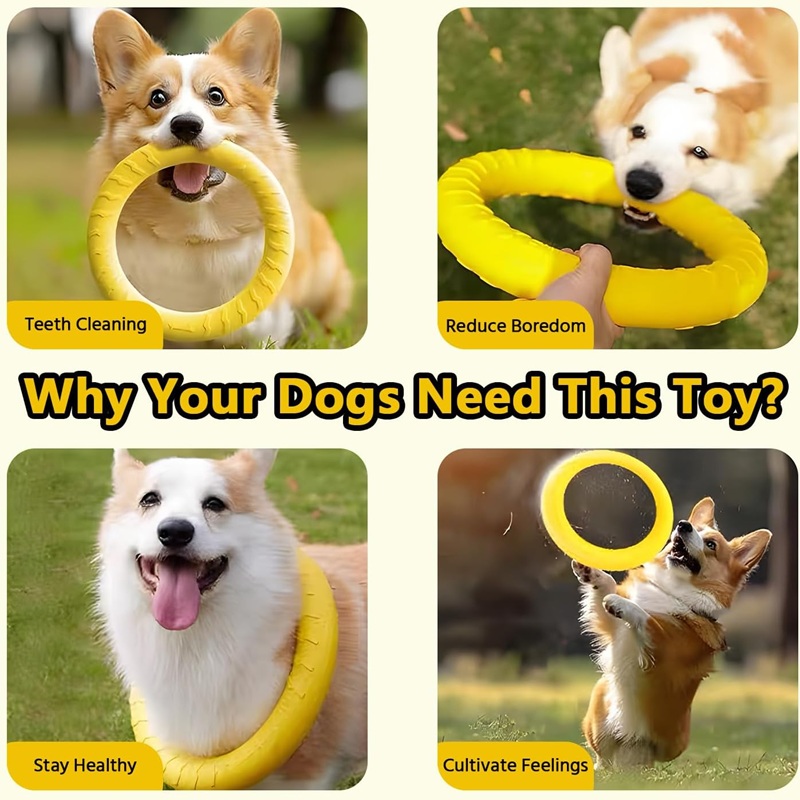 ของเล่นสุนัข จานบินสำหรับสัตว์ - Indestructible Dog Chew Toy บทวิจารณ์และราคา