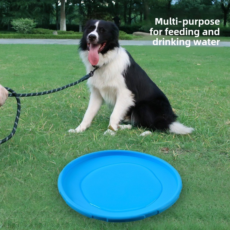Multicolor Frisbeed ของเล่นสุน - Flying Disc Dog Training Toy บทวิจารณ์และราคา