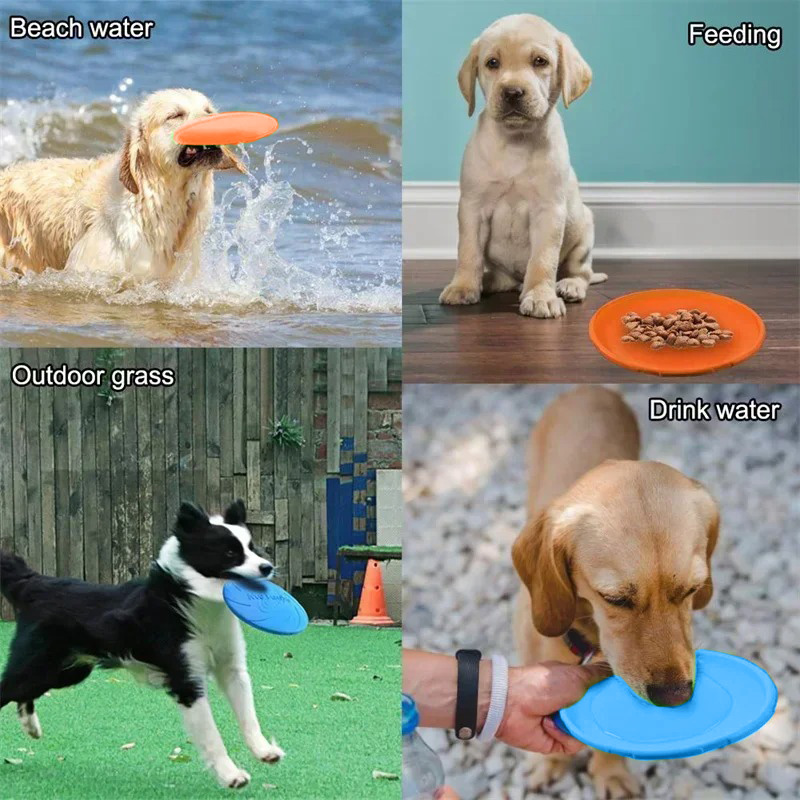 Multicolor Frisbeed ของเล่นสุน - Flying Disc Dog Training Toy บทวิจารณ์และราคา