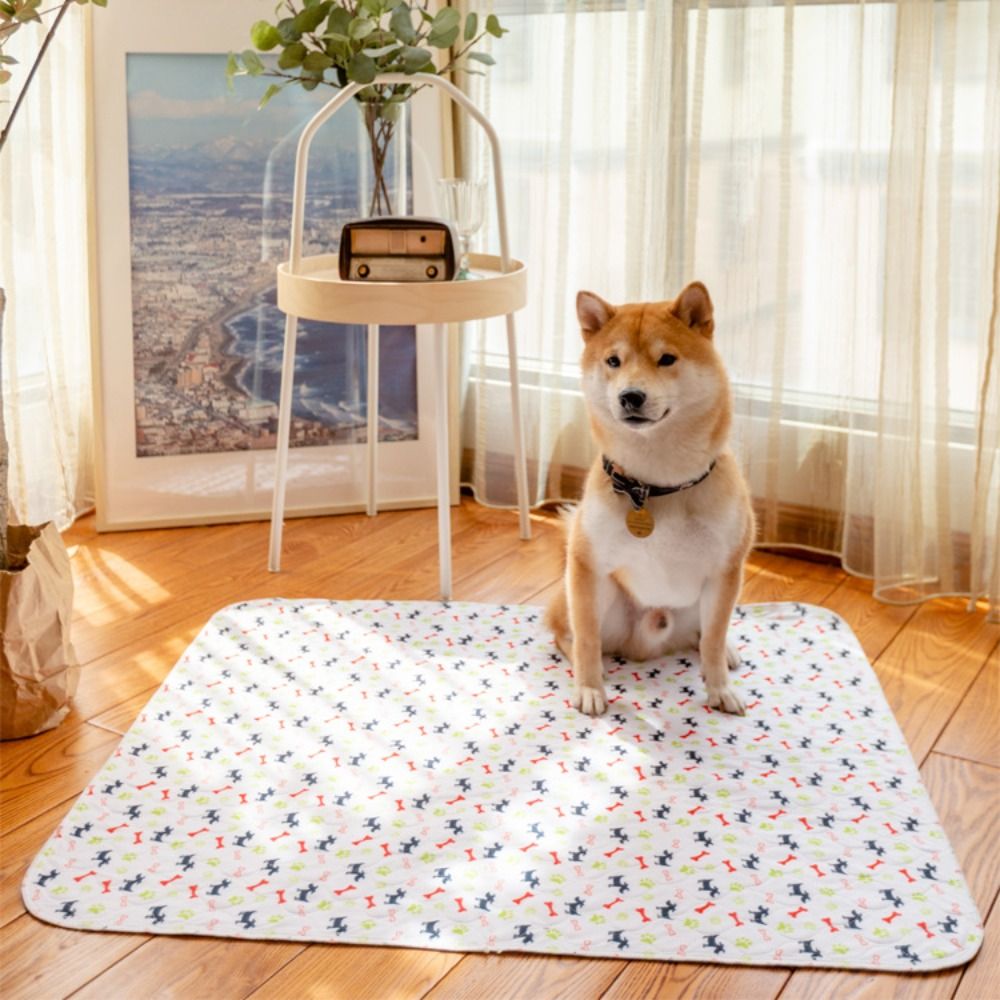 แผ่นรองนอนสำหรับสัตว์เลี้ยง ซึ - Pet Beds บทวิจารณ์และราคา