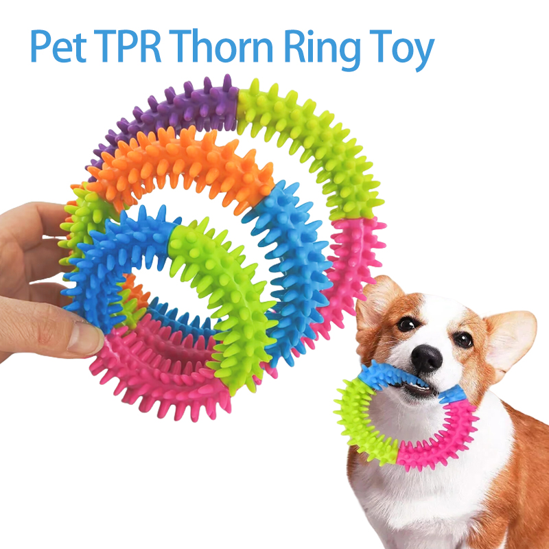 ของเล่นสุนัขแสนน่ารัก จานบินฝึ - Flying Disc Dog Training Toy บทวิจารณ์และราคา