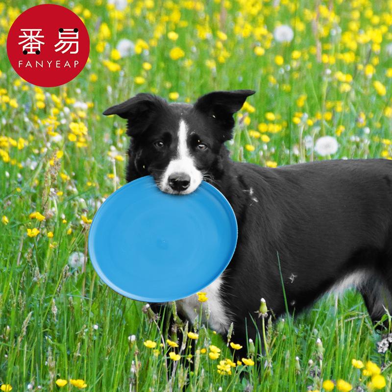 จานร่อน/ของเล่นสัตว์เลี้ยง A1- - Flying Disc Dog Training Toy บทวิจารณ์และราคา