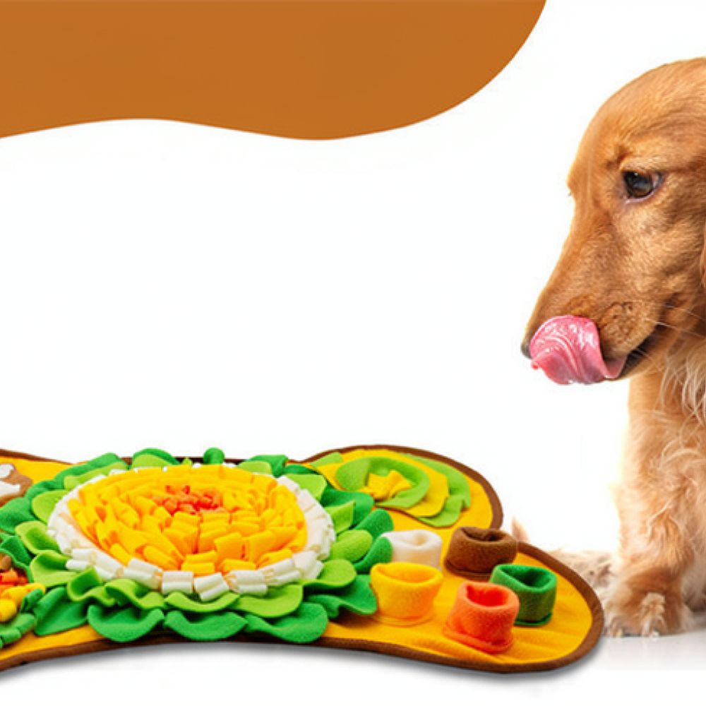 แผ่นดมกลิ่นสำหรับสุนัข ลายกระด - Dog Puzzle Feeder Toy บทวิจารณ์และราคา