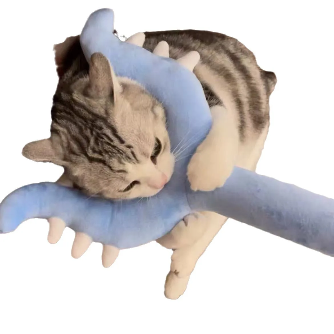 ไม้ล่อแมวตุ๊กตา Chiikawa ขนาด  - Cat Toys บทวิจารณ์และราคา