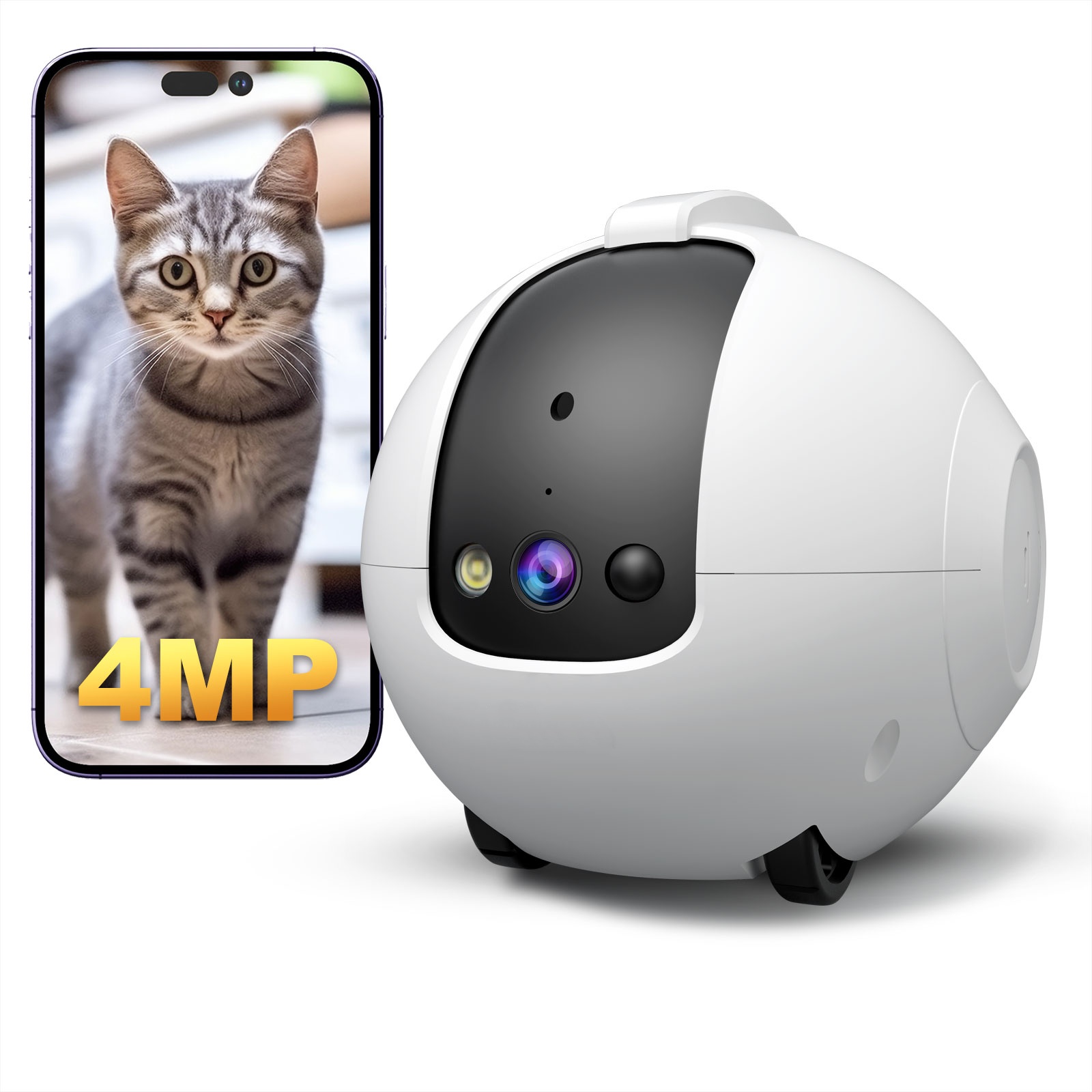 กล้องสำหรับสัตว์เลี้ยง รูปแบบห - Cat Toys บทวิจารณ์และราคา
