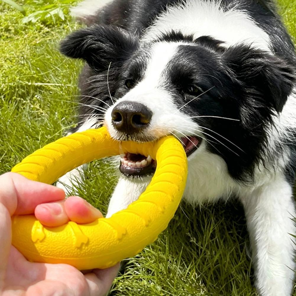 ของเล่นแหวนสำหรับสุนัข ทนทาน ไ - Indestructible Dog Chew Toy บทวิจารณ์และราคา