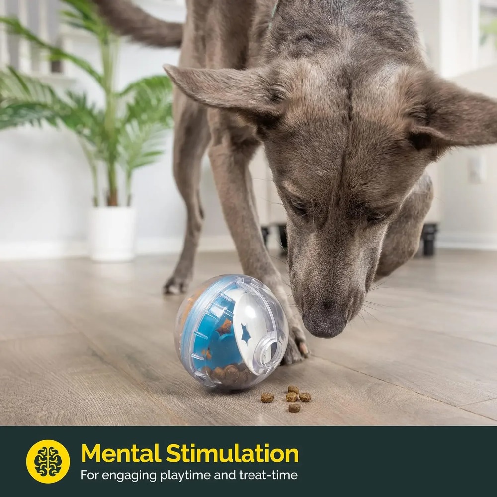 IQ Treat Ball ของเล่นสุนัขแบบจ - Indestructible Dog Chew Toy บทวิจารณ์และราคา